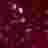База ANTONIO DAMATTI Rubber Color 9 мл (073 reflective flash)
