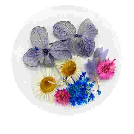 Сухоцветы в плоской баночке Фурман (002)
