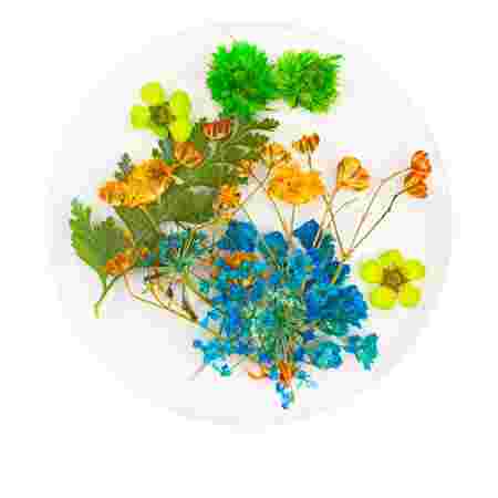 Сухоцветы в плоской баночке Фурман (003)
