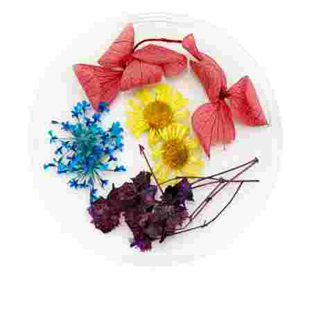 Сухоцветы в плоской баночке Фурман (004)