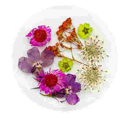 Сухоцветы в плоской баночке Фурман (005)