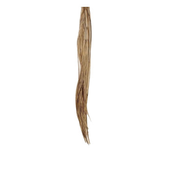 Перо для волос UrbanBird Standart + (26-29 см) (Wheat)