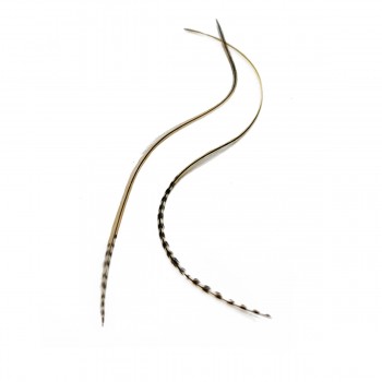 Перо для волос UrbanBird Standart (23-25 см) (Wheat Ray)