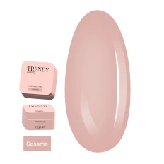 Гель для наращивания ногтей TrendyNails HFTF  15 мл (Classic color Sesame)