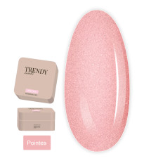 Гель для наращивания ногтей TrendyNails HFTF 15 мл (Balletti collection Pointes)