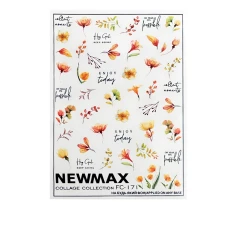 Слайдер-дизайн NewMax ( FC-171)