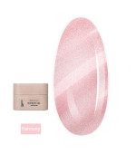 Гель для наращивания ногтей TrendyNails HFTF 15 мл (Balletti collection Harmony)