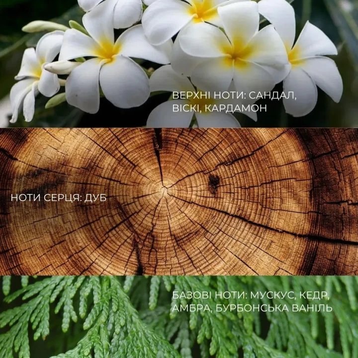 Набір подарунковий DOTT (Гель для душу + Батер для тіла SANTAL & WHISKY)