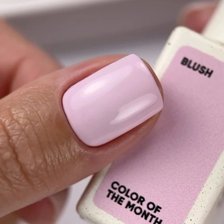 Гель-лак Color of the month NailSofTheDay (February 2026 Blush 10 мл)