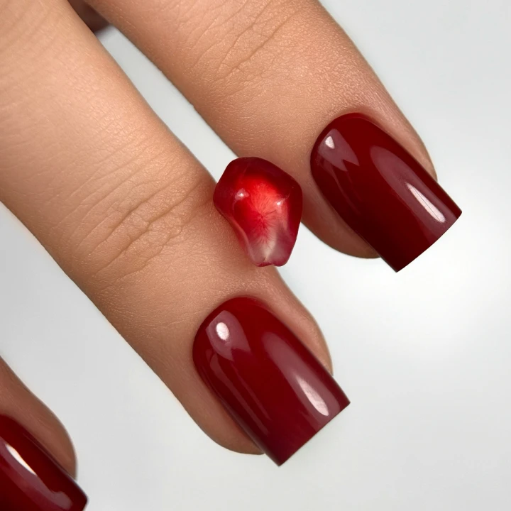 Гель-лак для ногтей TrendyNails 5 мл (Garnet)