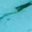 Milky Flower 01 50 мл