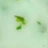 Milky Flower 05 50 мл