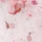 Milk Flower Gel 04
