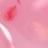 Milk Flower&Potal Gel 05