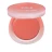 Cream Blush Camellia