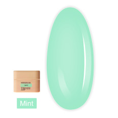 Гель для нарощування нігтів TrendyNails HFTF  30 мл (Summer Italy Mint)