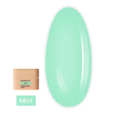 Гель для нарощування нігтів TrendyNails HFTF  15 мл (Summer Italy Mint)