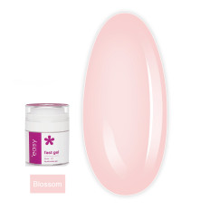 Гель для укріплення Easy (Blossom 30 мл)