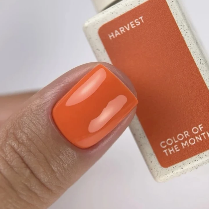 Гель-лак Color of the month NailSofTheDay (September 2026 Harvest 10 мл)