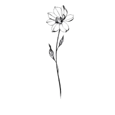 Тату тимчасові сет Arley Sign (Tender in the night)