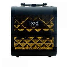 Кейс KODI золотий №33
