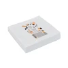 Серветки гладкі 20*20 см 40 г/м2 100 шт.