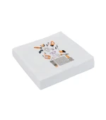 Салфетки гладкие 20*20 см 40 г/м2 100 шт в упаковке