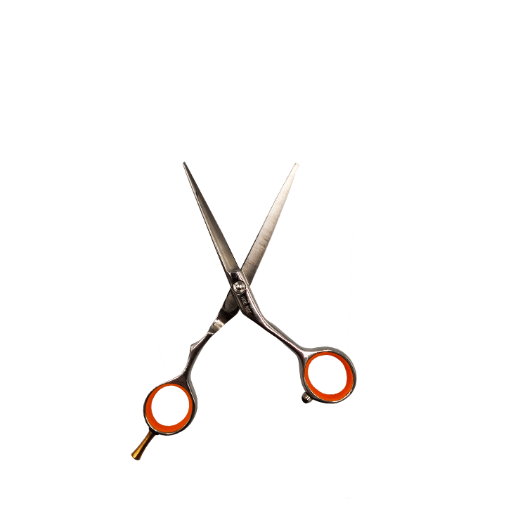 Ножницы для стрижки AE-55