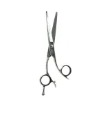 Ножницы ProLine для стрижки PL63-60