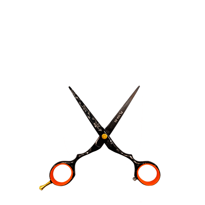 Ножницы для стрижки PL101-55 Titan