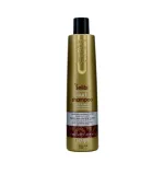 Шампунь для кучерявого волосся EchosLine Honey&Argan 350 мл