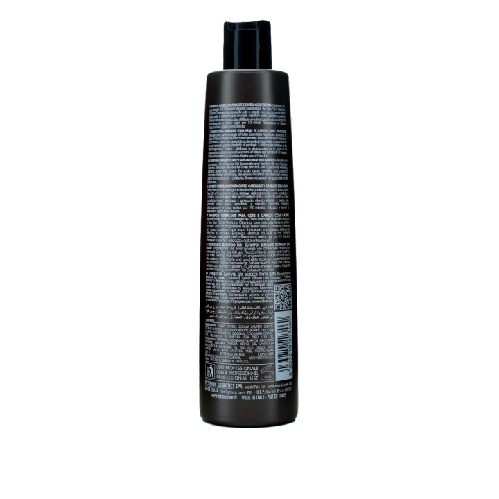 Шампунь очищение против перхоти EchosLine Seliar Therapy Purify 350 мл