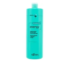 Шампунь с экстрактом свежей мяты и ментола Energy Purify Energy Shampoo 1000 мл