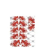 Слайдер DreamNails (TB-284)