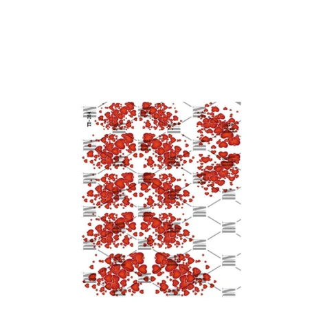 Слайдер DreamNails (TB-284)