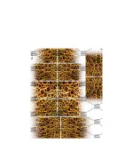 Слайдер DreamNails (TB-273)