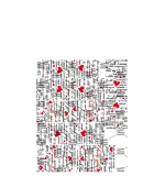 Слайдер DreamNails (TB-283)