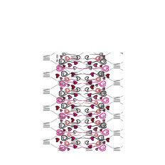 Слайдер DreamNails (TM-306)