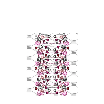 Слайдер DreamNails (TM-306)