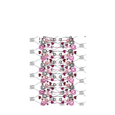 СлайдерDreamNails Little (TM-306)