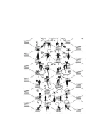 СлайдерDreamNails Little (TL-91)