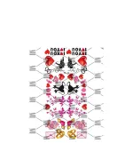 СлайдерDreamNails Little (TL-44)