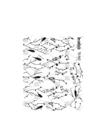 СлайдерDreamNails (для будь-якого фону) (ТВ-541)