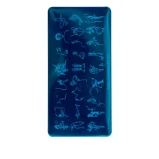 Пластина для стемпінгу Born Pretty велика (ND-003)