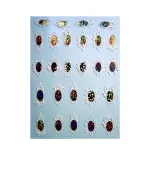 Слайдер 3D Dream Nails фольга обьем (28-32зол.голог.)