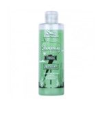 Шампунь Hairgum проти лупи Mint 250 мл