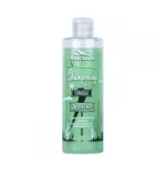 Шампунь Hairgum против перхоти Mint 250 мл