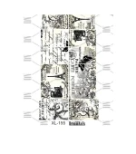 Слайдер Dream Nails ESXL (XL-155)