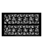 Слайдер-фольга Fonix (004 phoenix сер.)