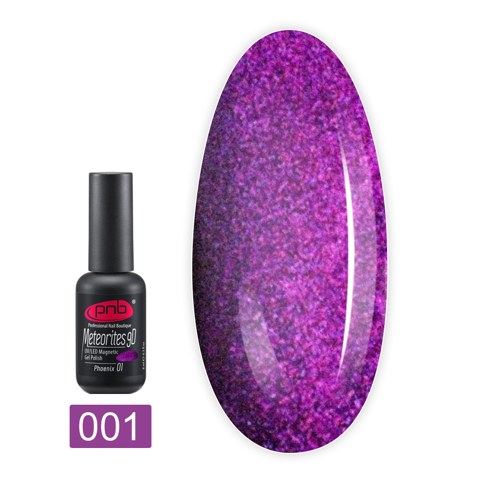 Гель лак PNB Метеорит 9D Magnetic 8 мл (01)